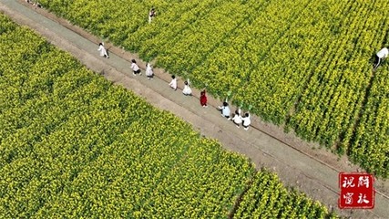 薯香飄千里 2025年焦作市麥田里田園綜合體項(xiàng)目引領(lǐng)薯類(lèi)銷(xiāo)售新篇章